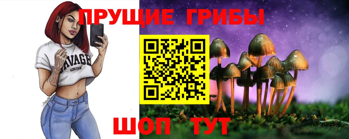 Миасс  Галлюциногенные грибы мицелий  Псилоцибиновые грибы Psilocybine cubensis  Вход с VPN 