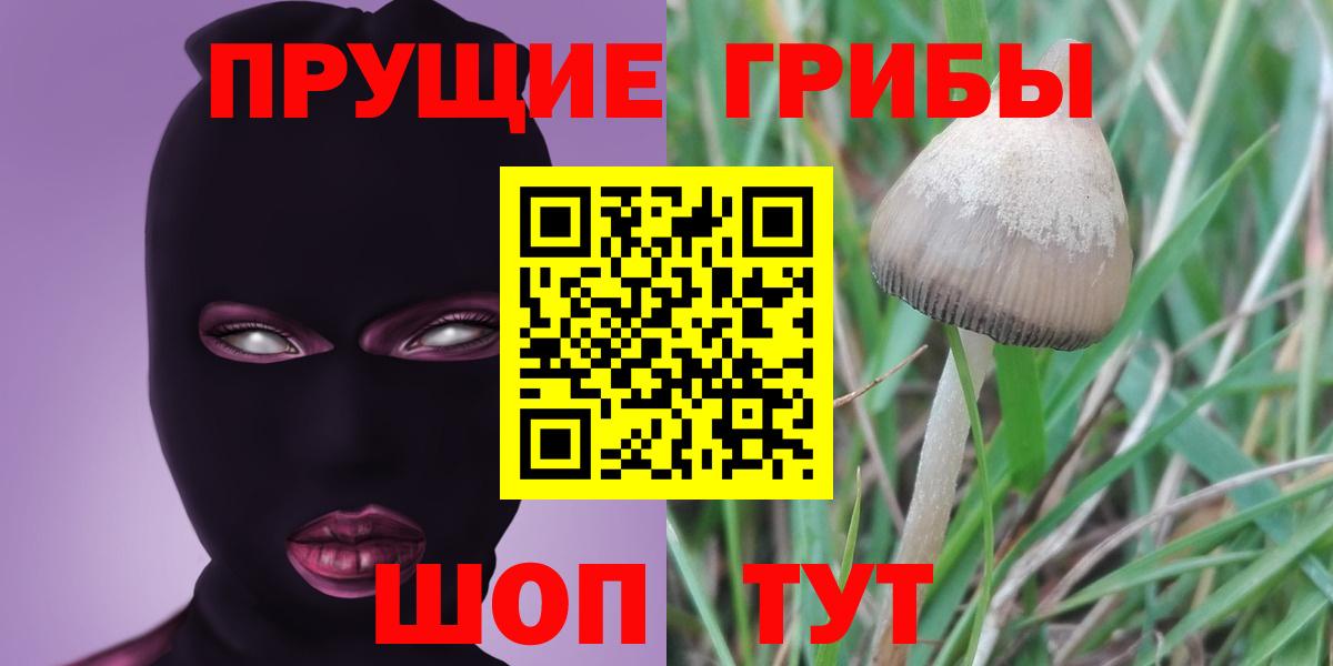 Галлюциногенные грибы Magic Shrooms Миасс